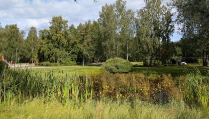 Perkiönpuiston lampi.