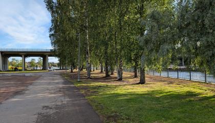 Ratinanniemen puistoa ja Ratinan silta.