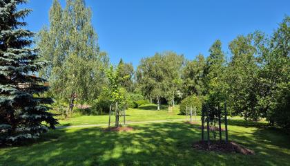 Ruotulanpuiston puita ja istutuksia.