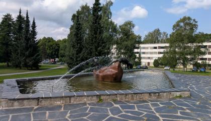 Vesiallas, jossa on veistos kahdesta saukosta, ja kaksi vesisuihkua.