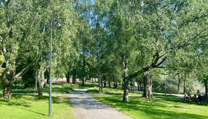 Puistokäytävä Sorsapuistossa.