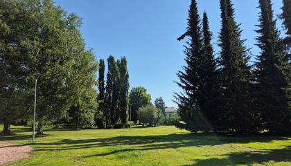 Tapiolanpuiston nurmea ja puustoa.