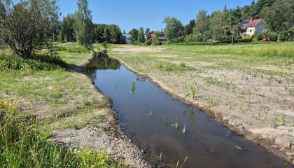 Vuohenojan puro Varsanpuistossa.