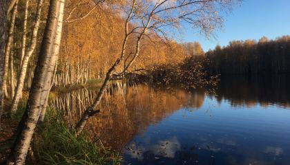 Syksyinen kuva Isolammelta.
