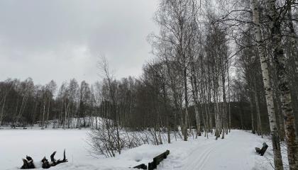 Talvinen kuva Isolammelta.