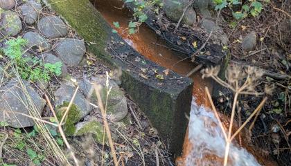 Avoin vesiuoma Lorisevanpuistossa.