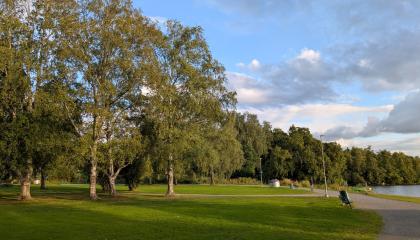Lorisevanpuiston puistoinen ranta kesällä auringonlaskun aikaan.