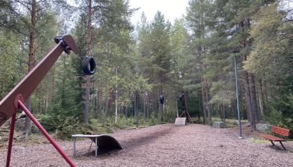 Vaijeriliuku, jossa roikutaan autonrenkaista.