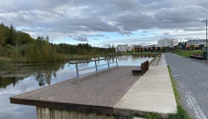 Laituri veden äärellä Vuoreksen keskuspuistossa.