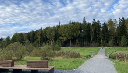 Vuoreksen keskuspuiston maisemassa on sorapolkuja ja penkkejä hulevesiuoman varrella.