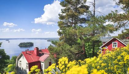 Pyykkimettän puiston maisema Näsijärvelle ja keltaisia kukkia etualalla.