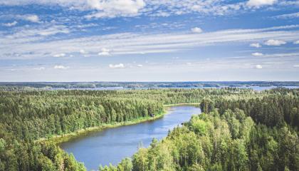 Näkymä Kauppi-Niihaman metsään ja Niihamanjärvelle