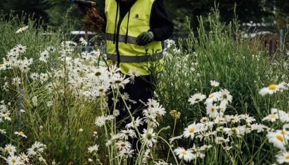 Talkoolainen hoitaa niittyä.