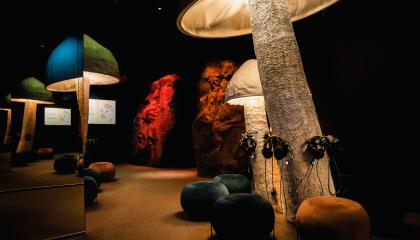 Valaistuja jättisieniä näyttelytilassa. Lattialla istuimia, sienissä on kiinni kuulokkeita.