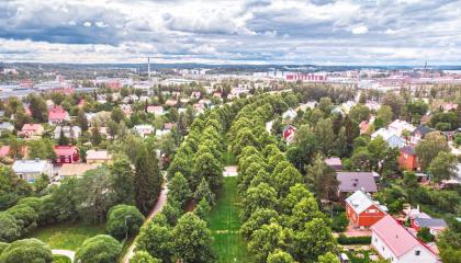 Näkymä kesäiseen Viinikanpuistoon ja Viinikkaan.