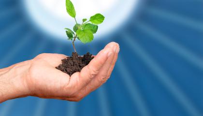 Käsi pitämässä taimea. Taustalla Metson kupoli. 