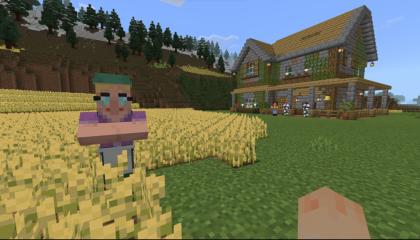 Näkymä Minecraft-pelistä. Taustalla rakennus, edessä pelihahmo, vihreää ruohoa ja keltaisia kasveja.