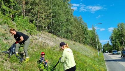 Kaksi aikuista ja lapsi nurmikkorinteessä Aikuisilla on käsissä muovisäkit. Oikeassa laidassa kulkee asfalttitie.