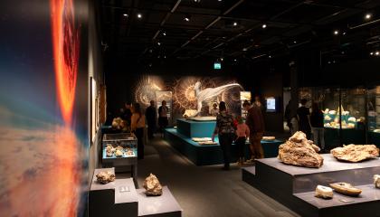 Hämärässä museotilassa ihmisiä katselemassa kiviä.