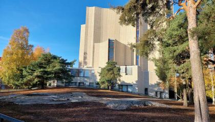 Liisanpuiston kedon kasvualusta Kalevankirkon itäpuolella.