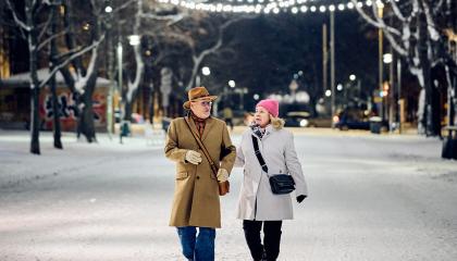 Kaksi henkilöä kävelee talviaikaan puistossa.