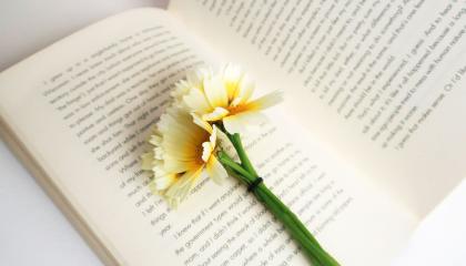Avoin kirja, jonka vasemman sivun päällä on yksi vaalea kukka. 
