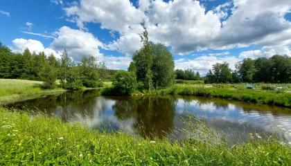 Vuohenoja virtaa Varsanpuistossa.