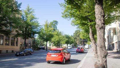 Katulehmuksia ja liikennettä Satamakadun länsipäässä.