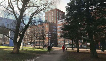 Kuvassa puistonäkymää ja punatiilisiä rakennuksia.