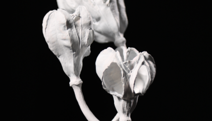 Kuvataideteos, joka muodostaa kukinnon.