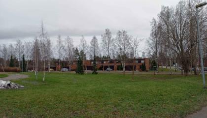 Nurmialuetta ja taustalla rivitaloja ja koivikkoa.