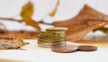 Kolikkoja päällekkäin pöydällä. Taustalla on puunlehtiä.