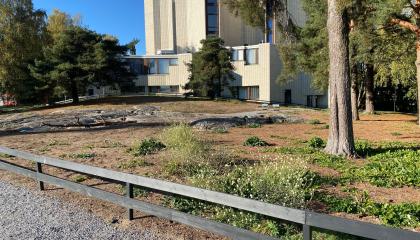 Liisanpuiston ketoa kuvattuna syksyllä.