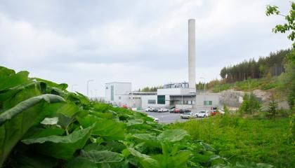 Keskuspuhdistamon valkea rakennus piippuineen, etualalla kasvillisuutta.