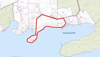 Kartta Saarenkannan tilasta Nurmi-Sorilassa.