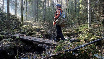 Retkeilijä ylittää ojan puusiltaa pitkin syskyisessä metsässä.