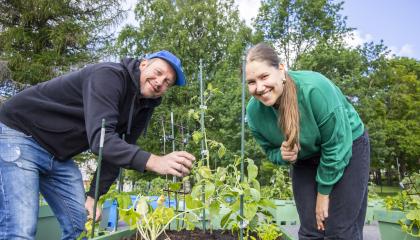Kaksi henkilöä on kumartuneena viljelyksien ääressä ja katsoo hymyillen kameraan.