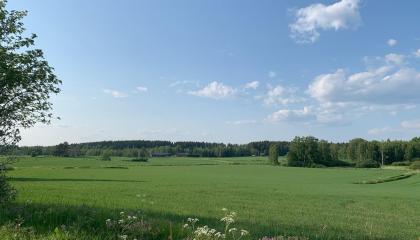 Vihreä avara peltomaisema Nurmin alueelta ja sininen taivas yllä.