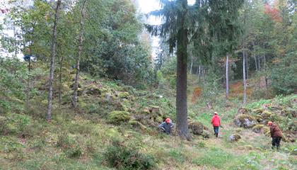 Syksysessä metsässä talkooväkeä.