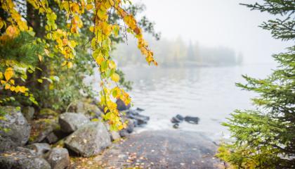 Näkymä kallioiselta rannalta järvelle syksyisen harmaana päivänä. 