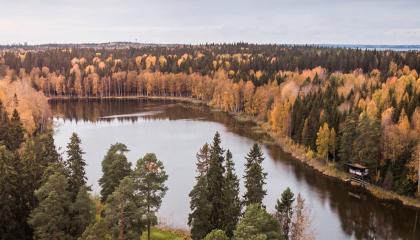 Syksyn ruskaa metsäisen järven ympärillä.