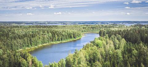 Näkymä Kauppi-Niihaman metsään ja Niihamanjärvelle