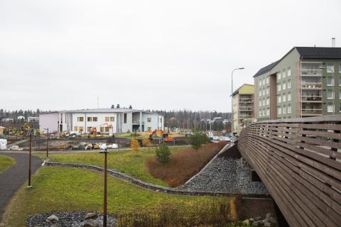 Vuoreksen puutaloja.