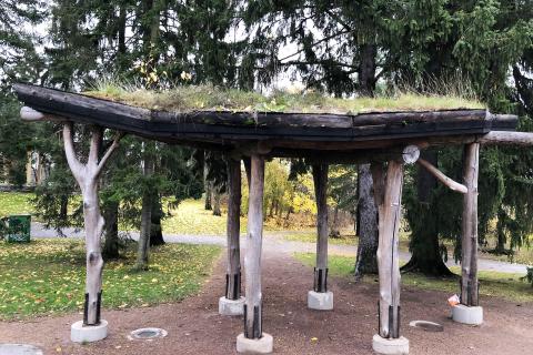 Puistossa olevassa katoksessa on viherkatto.