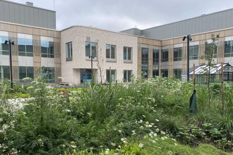 The courtyard of the new TAYS adult psychiatry building. 