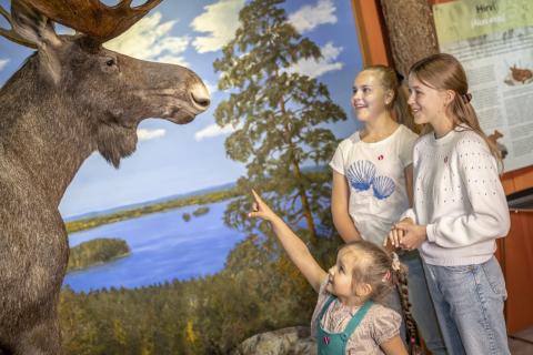 Three children look at a moose in a museum exhibition, one points a finger at it.