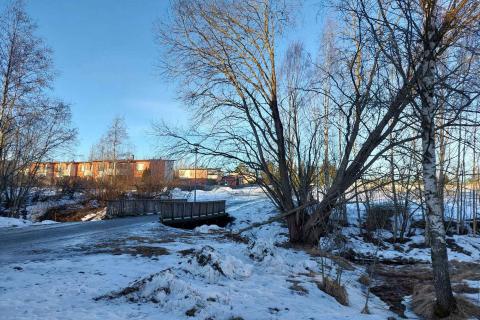 Muotialan läntinen puusilta