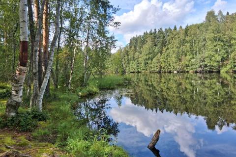 Pikku-Tohlopin ranta- ja järvimaisemaa.