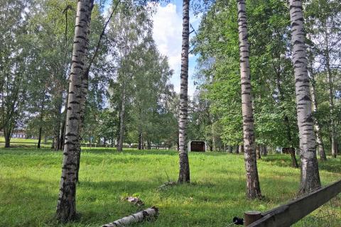 Ransunpuistonhakan nurmea ja puita.