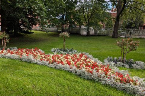 Wilhelm von Nottbeckin puiston kukkaistutuksia.